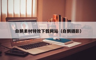 海门白鹅素材特效下载网站（白鹅摄影）
